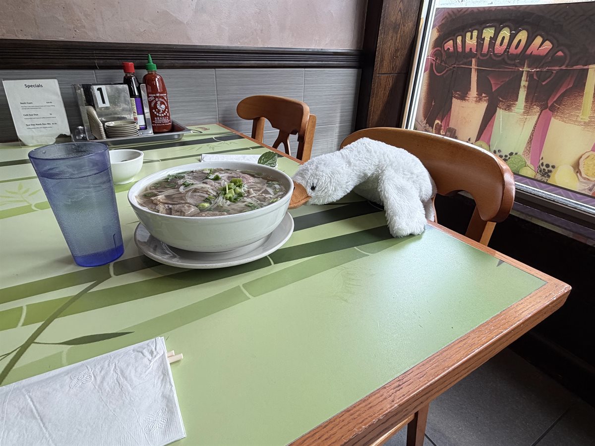 Pho 20